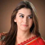 Hansika Motwani Net Worth